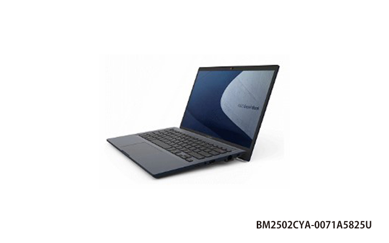ASUS BM2502CYA 商用筆記型電腦 (15.6FHD IPS/R7 5825U/8G/512G/Win11 Pro/3Y) (BM2502CYA-0071A5825U)