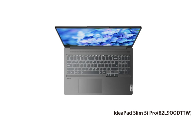 Lenovo IdeaPad Slim 5i Pro 聯想家用筆電 ((IP3)17.3吋/R5 5500U/8GB /512GB/Win11) (82L900DTTW)