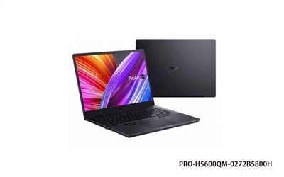 ASUS PRO-H5600QM 商用筆記型電腦 (16 WQXGA/R7 5800H/32G*2/2T SSD/RTX3060/Win10Pro/3Y) (PRO-H5600QM-0272B5800H)