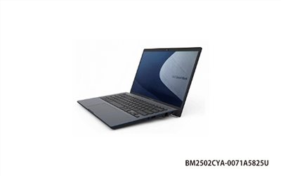 ASUS BM2502CYA 商用筆記型電腦 (15.6FHD IPS/R7 5825U/8G/512G/Win11 Pro/3Y) (BM2502CYA-0071A5825U)